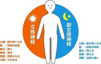 自律神経の乱れ