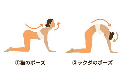 キャットキャメル